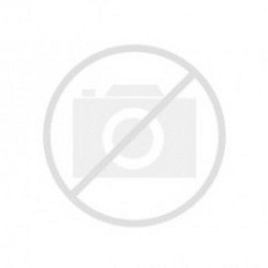 Cotton Contour Skin Bra fra Wolford hos Magasin 9010352368421